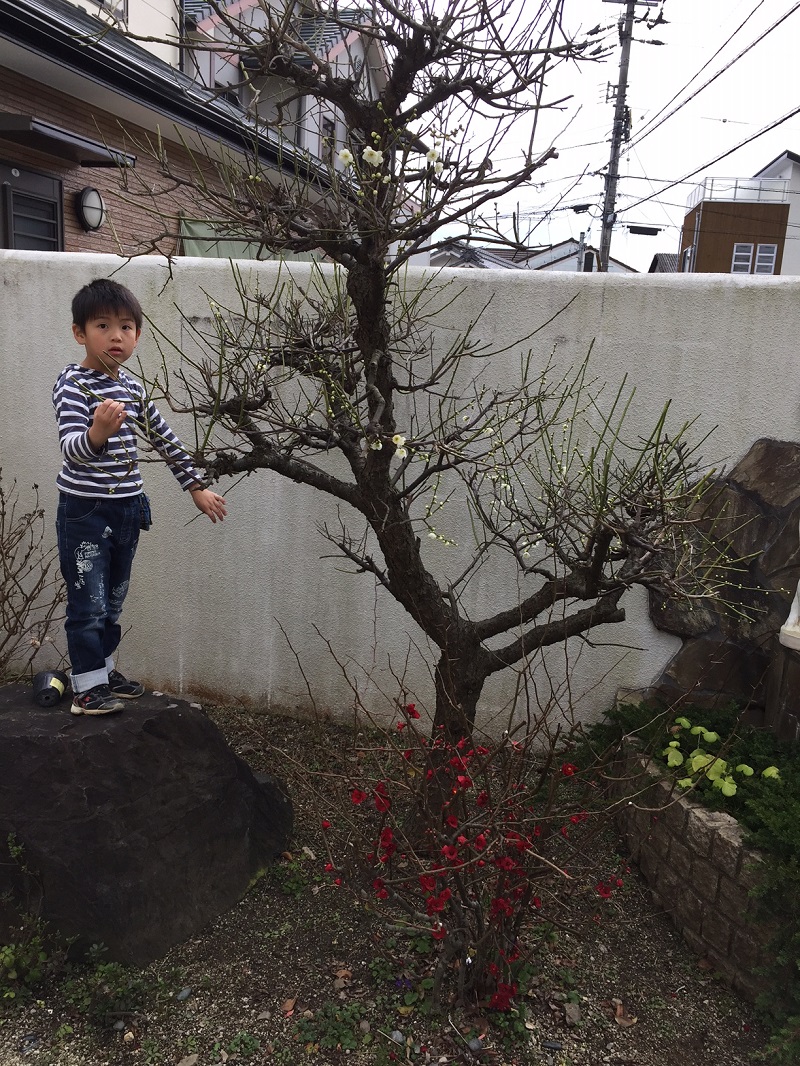 やっぱりおばバカです。(^_^;)