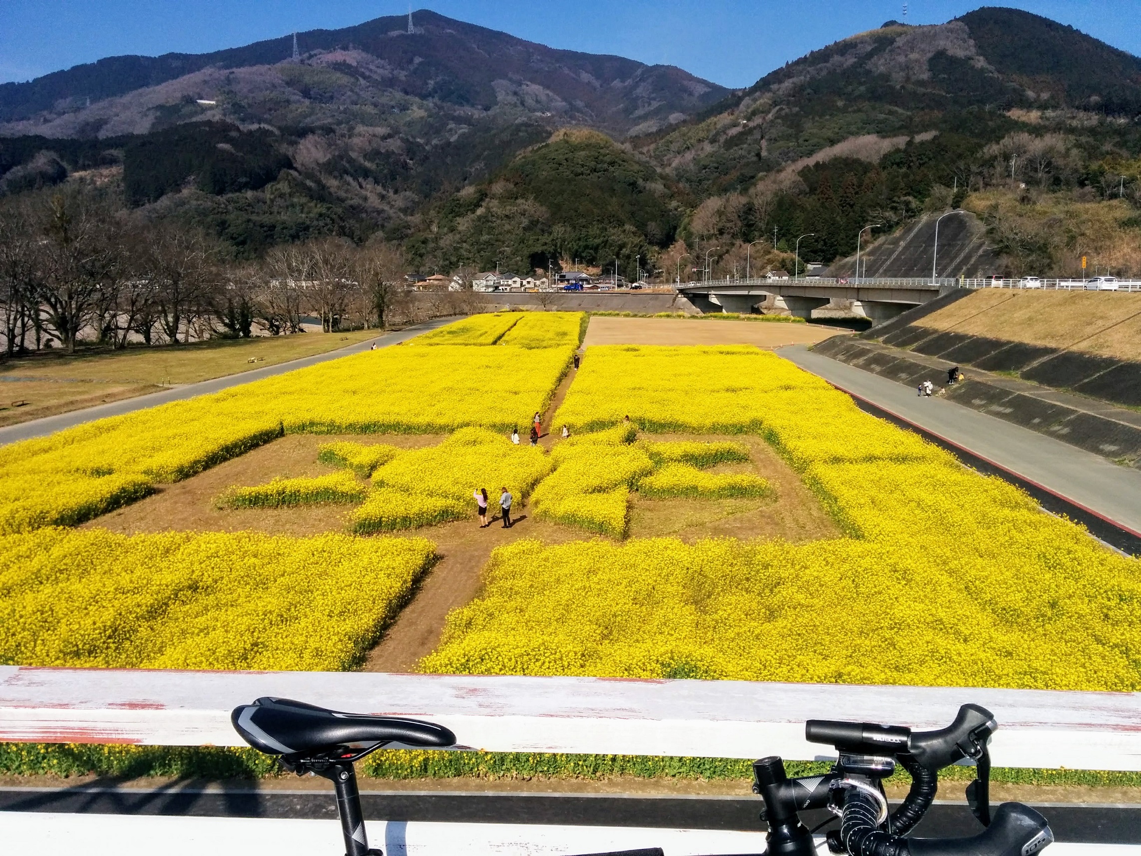 五郎河川敷