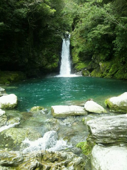 「高知家」の旅